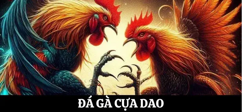 Đá gà cựa dao Rik88 - Trải nghiệm không thể bỏ qua cho người yêu thích