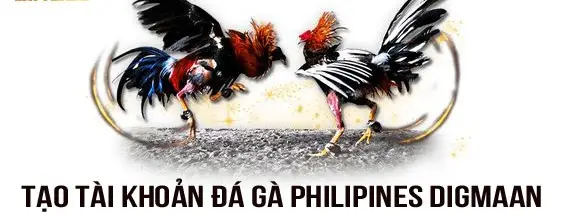 Đá Gà Philippines Rik88 - Sự Kết Hợp Giữa Truyền Thống và Đổi Mới Trong Thể Thao