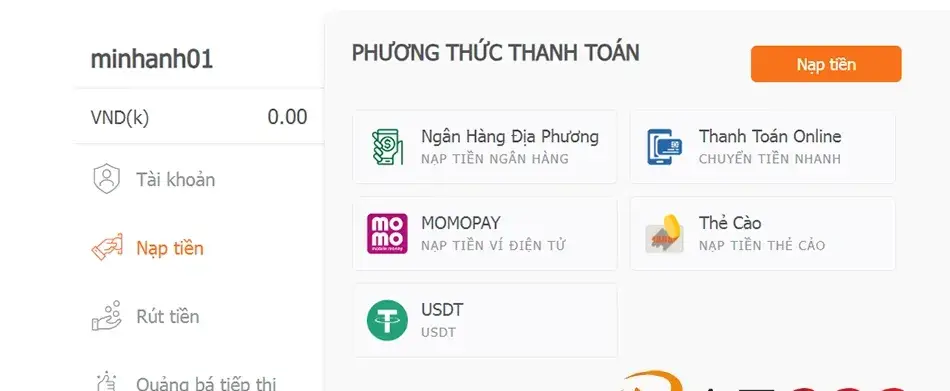 Hướng dẫn Nạp Tiền nhà cái Rik88 - Dễ Dàng và An Toàn Nhất
