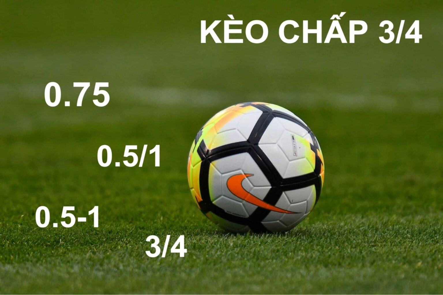 Kèo chấp 1 3/4 Rik88 - Cách Đọc Và Hiểu Đúng Thế Giới Cá Cược