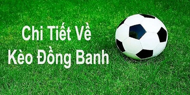 Kèo đồng banh Rik88 - Tìm Hiểu Chi Tiết Về Đặc Điểm Và Cách Chơi