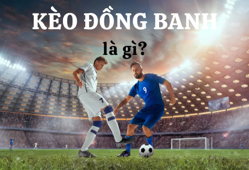 Kèo đồng banh Rik88 - Tìm Hiểu Chi Tiết Về Đặc Điểm Và Cách Chơi