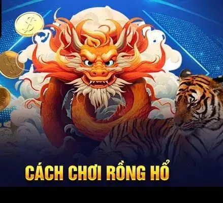 kinh nghiem choi rong ho rik88 683545d1b334d